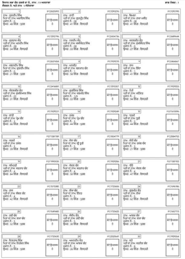 Punjab SIR Draft Voter List - Sample PDF